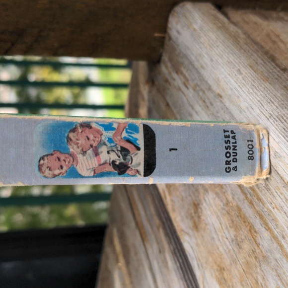 The Bobbsey Twins of Lakeport - Picture 6 of 8